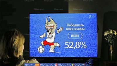 رسميا.. روسيا تستقر على تميمة مونديال 2018