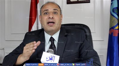 محافظ البحيرة: كوبري 