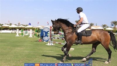 بالصور.. نتائج اليوم الختامي من البطولة الأولى من الدوري العربي للفروسية