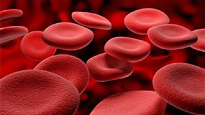 الحديد في جسم الإنسان