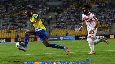 بعد تحطيم الحلم الأفريقي .. من المسؤول عن خسارة اللقب؟