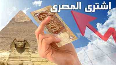 مقاطعة المستورد ودعم المحلي .. هل تنقذ الجنيه من الانهيار أمام الدولار؟