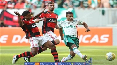 بالميراس يعزز صدارته للدوري البرازيلي بهدفين في سبورت ريسيفه