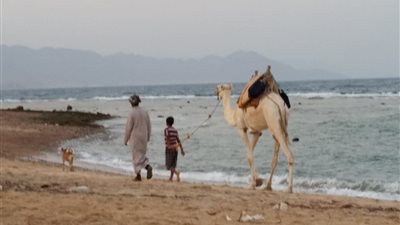 هاآرتس: 20 ألف إسرائيلي تجاهلوا تحذيرات السفر وقضوا أجازتهم بسيناء