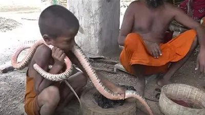 قرية هندية جميع سكانها يربون الثعابين القاتلة (فيديو)