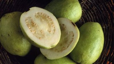 7 فوائد صحية للجوافة.. أبرزها تعزز المناعة وتقى من البرد