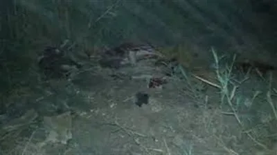 العثور على 12 دابة مذبوحة ومسلوخة في البحيرة