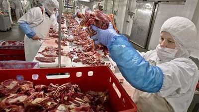 غلق وإيقاف تشغيل مصنع لحوم و2 عيادة خاصة و7 صيدليات بالمنوفية