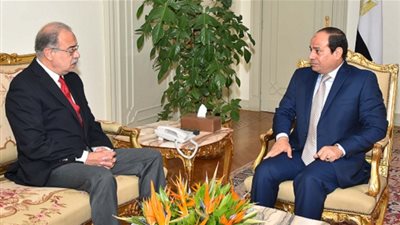 مصدر رئاسي: لا تعديل وزاري قبل 11/11.. و