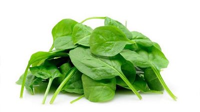 باحثون أمريكيون يكشفون علاقة السبانخ بالمتفجرات