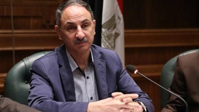 مجدي ملك: التسويق التعاقدي هو الحل الوحيد للأزمات