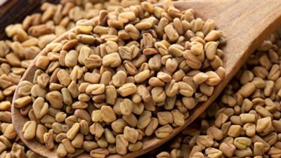 فوائد الحلبة.. ستصطدم بمعلوماتك السابقة عنها!  