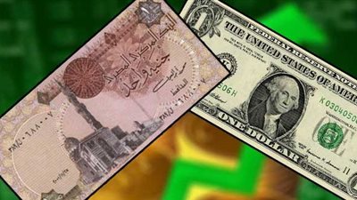 عاجل.. الدولار في البنك المركزي بـ13 جنيها رسميا 