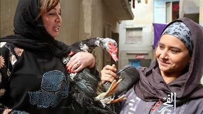 خمسة أفلام مصرية تنافس على جوائز 