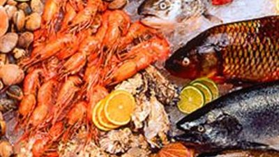 أهم فوائد الأطعمة البحرية 