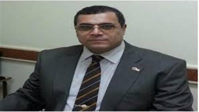 محافظ الفيوم: 