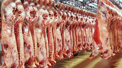 مواطنون ضد الغلاء تستنكر قرارالقابضة للصناعات الغذائية بإيقاف توريد اللحوم 