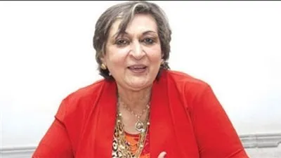 سعاد الديب: حاولنا وضع تسعيرة أودية والحكومة تخوفت