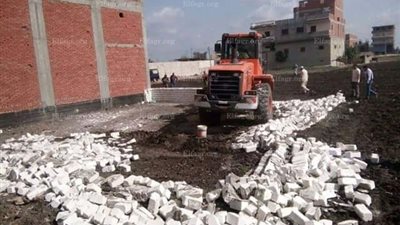 إزالة 10 حالات تعد على الأراضي الزراعية في كفر الشيخ (صور)