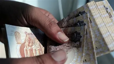 شركة سعودية تعلن تأثر أرباحها بتعويم الجنيه المصري