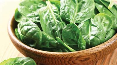 السبانخ تكشف عن المتفجرات