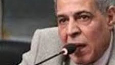 برلماني عن قرارات الإصلاح الاقتصادي: