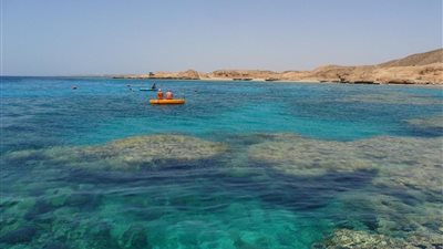 فقيه دستوري: طعن 