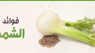 فوائد الشمر الصحية للجسم