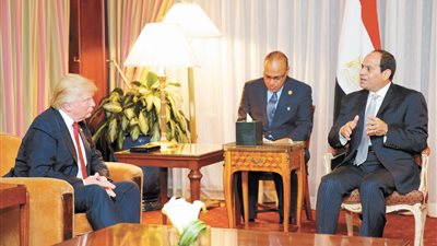 مستشار حملة 