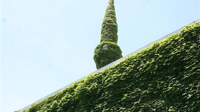 الجامع الأخضر في كوردستان.. تحفة معمارية تغطيه النباتات (صور) 