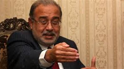 رئيس الوزراء: الشعب المصرى اختار الاستقرار 