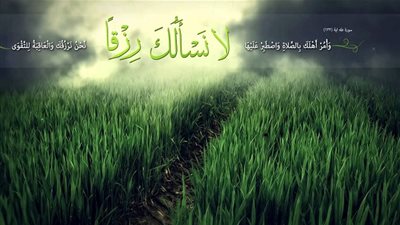 لا نسألك رزقًا نحن نرزقك