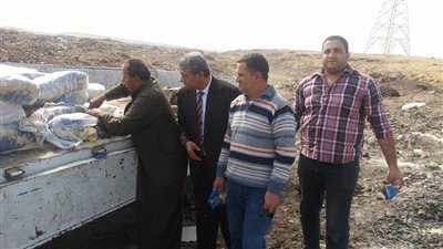 إعدام طن أرز غير صالح للاستهلاك الآدمي ببني سويف