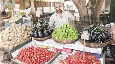 بعد تدخل البرلمان لمكافحته.. ما لا تعرفه عن الاقتصاد غير الرسمي وحجمه 