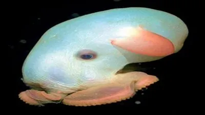 معلومات وحقائق مدهشة عن 