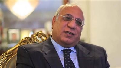 نادر نور الدين: غادة والي تدين نفسها ووزارتها