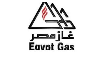 2.44 مليون جنيه صافي خسائر 