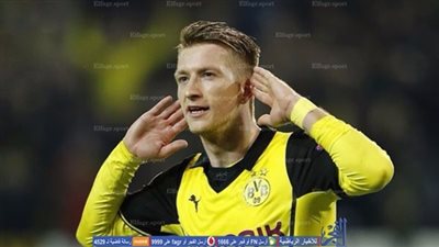 رويس يعود لدورتموند في الوقت المناسب