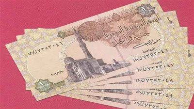 أستاذ تمويل: سعر الدولار سينخفض إلي 13 جنيها خلال شهرين 