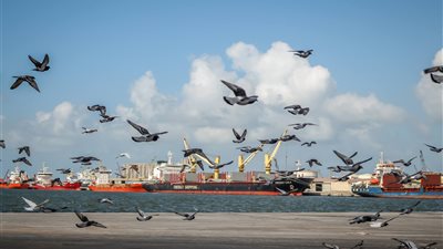 ننشر حركة تداول السفن بميناء دمياط 