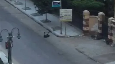 بلاغ كاذب بالعثور على قنبلة بشارع أبو قير في الإسكندرية 