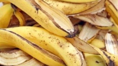 أهم أخبار الاردن اليوم .. المملكة تستهلك 200 طن موز يوميا