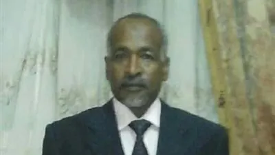 نقيب المرشدين بأسوان: السياحة تتأثر بمنع مرور الأفواج إلى أبو سمبل 