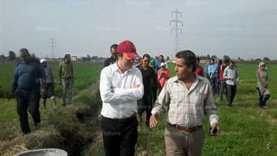 محافظ البحيرة: 115 مليون دولار لتطوير الري الحقلي لـ 120 ألف فدان (صور)