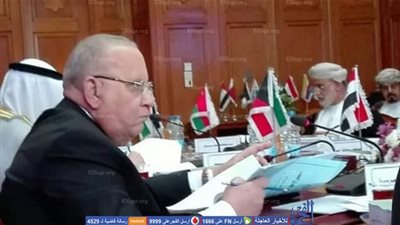 المتحدث الإعلامي لوزارة العدل: الأوضاع الراهنة بالدول العربية تنعكس على جدول أعمال المكتب التنفيذي