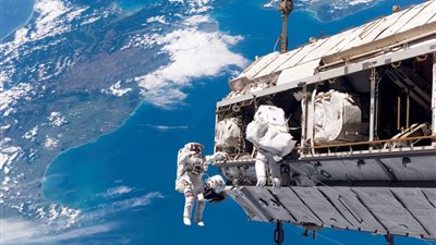 بين كعكات الدونات وتمساح المريخ.. أغرب 8 اكتشافات لـ 