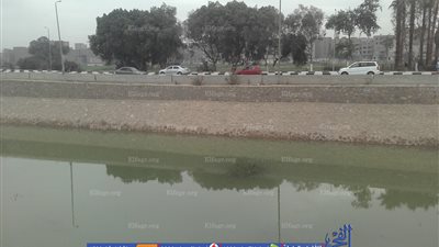 رفع درجة التأهب القصوى ومتابعة مخرات السيول بقنا (صور)