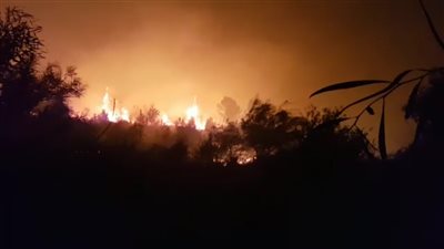 إجلاء الآلاف لدى اندلاع حرائق عبر إسرائيل (صور)