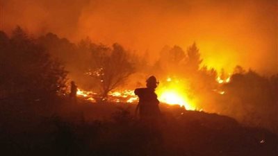 تعرف على أسباب اندلاع الحرائق في إسرائيل (فيديو)