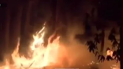 حرائق ضخمة تجتاح مقاطعة واتوغا الأمريكية (فيديو) 